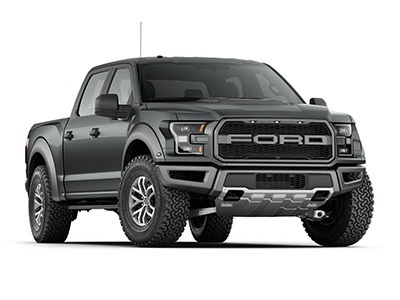 Raptor